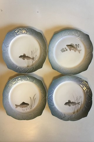 Set of 12 Royal Copenhagen Art Nouveau Fisk Service plates with Fish bordr No 
3002