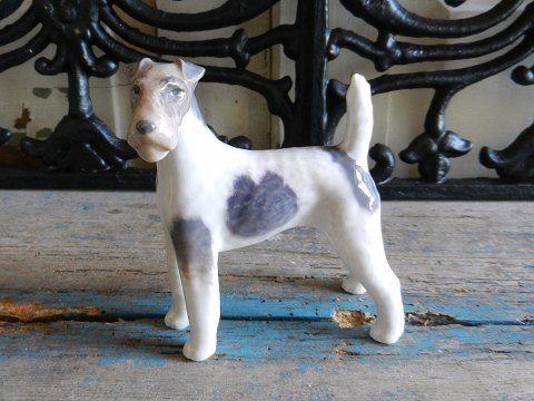 Royal Copenhagen, Foxterrier no. 3165