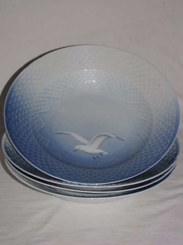 Seagull
Deep plate
B & G