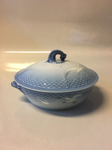 Bing & grøndahl
Seagull without gold
Lid dish
SOLD
