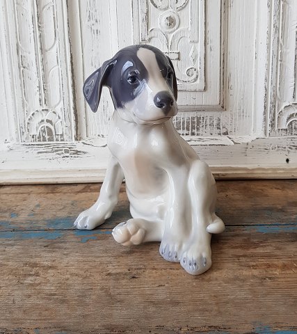 Royal Copenhagen figure - Pointer puppy no. 259