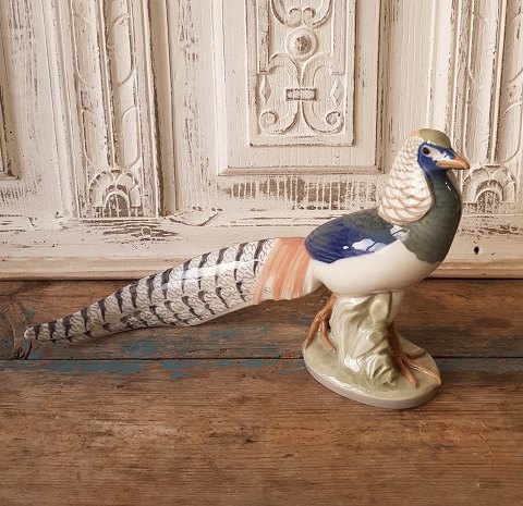 Royal Copenhagen figurine - Pheasant no. 1881