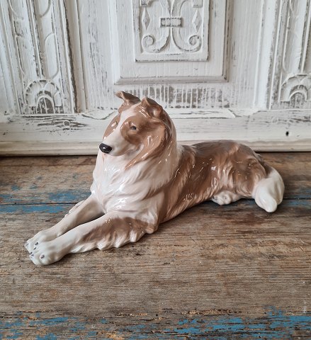 Royal Copenhagen Figure - Collie no. 1701