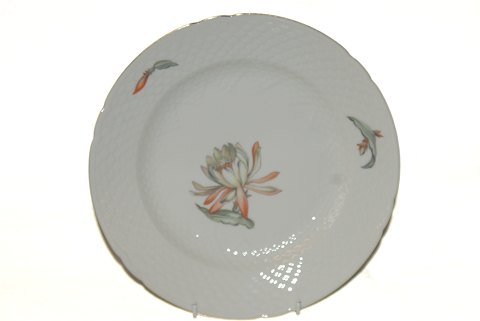 Bing og Grøndahl Kaktus 
Frokost tallerken
Bund nr 26
Diameter 21 cm
SOLGT