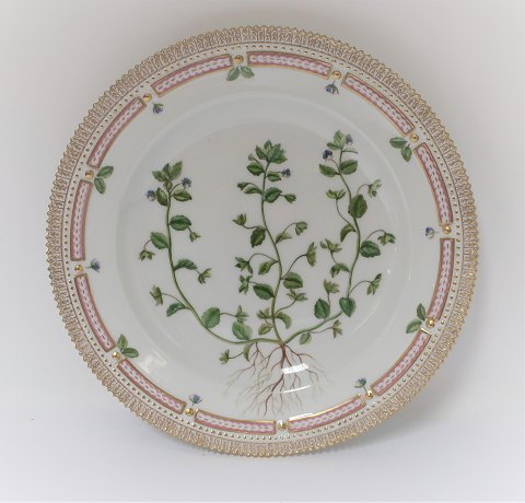 Royal Copenhagen Flora Danica. Dinner plate. Design # 3549. Diameter 25 cm. (1 
quality). Veronica agrestis L