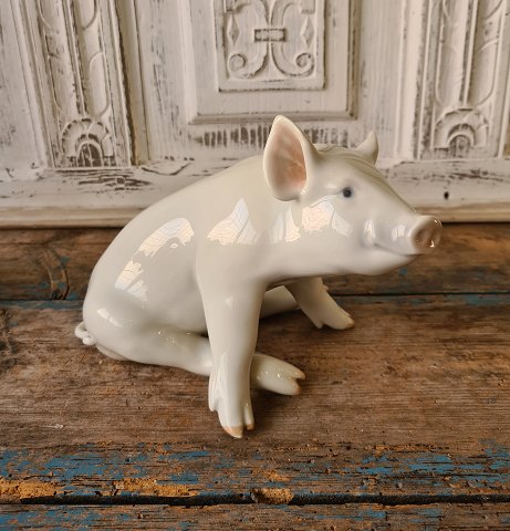 Royal Copenhagen figure - large pig no. 414