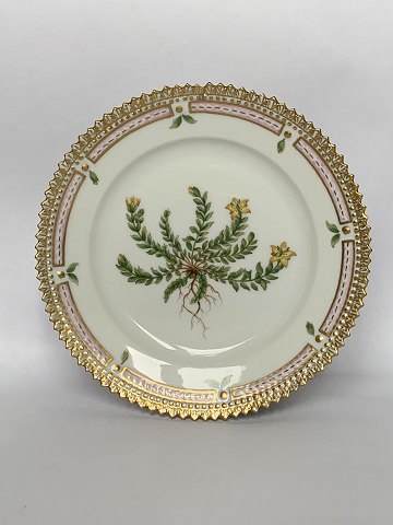 Flora Danica
Plate 14 cm.
Royal Copenhagen