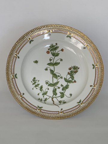 Flora Danica
Plate 25,5 cm.
Royal Copenhagen