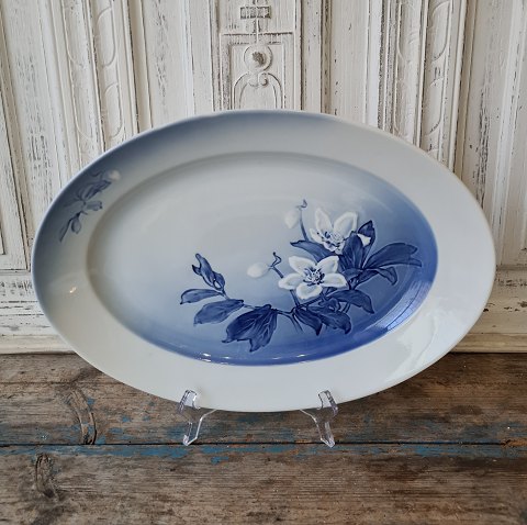 B&G Christmas rose large dish no. 15 - 29 x 41 cm.