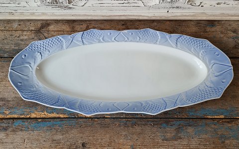 Royal Copenhagen fish set with blue edge fish dish no. 1212/3001