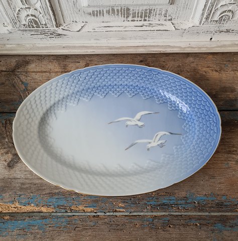 B&G Seagull with gold edge dish no. 16 - 34 cm.