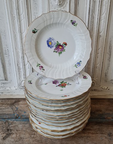 Royal Copenhagen Light Saxon flower dinner plate no. 1621 - 25 cm.