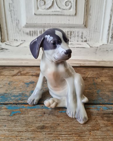 Royal Copenhagen figure Pointer puppy no. 206