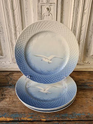 B&G Seagull without gold large dinner plate no. 25A - 26.5 cm.