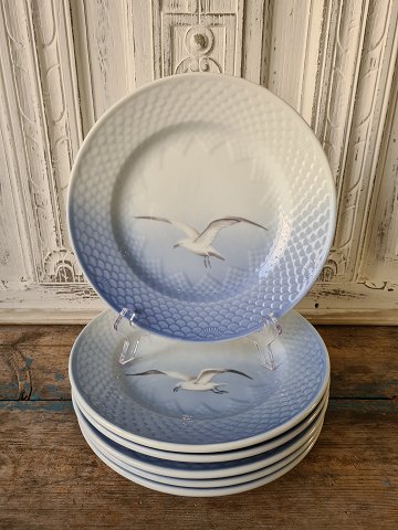 B&G Seagull without gold hotel porcelain dinner plate 24.5 cm.