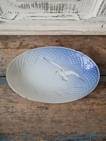 B&G Seagull with gold edge oval bowl no. 39