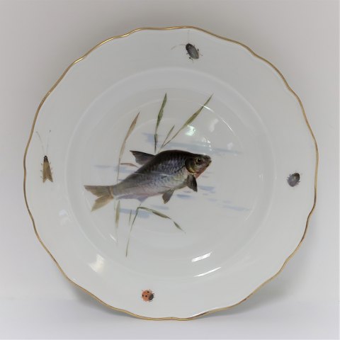 Meissen. Porcelain. Fish plate. Diameter 25 cm