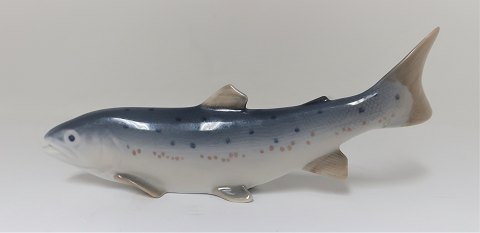 Royal Copenhagen. Porcelain figure. Trout. Model 2676. Length 20 cm. (1 quality)