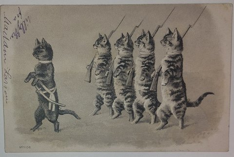 Postkort: Katte i geled med geværer