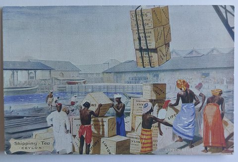 Reklame postkort - Ceylon tea