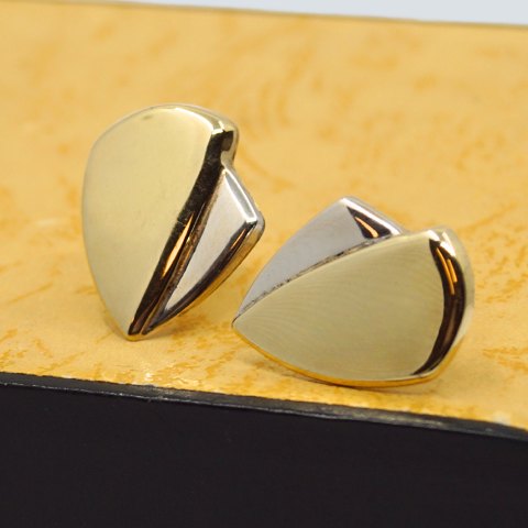 Pair of earrings of 14k gold and white gold
