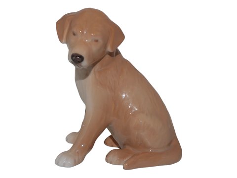 Royal Copenhagen dog figurine
Elses dog - Golden Retriever