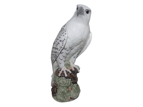 Birds<br>Royal ...