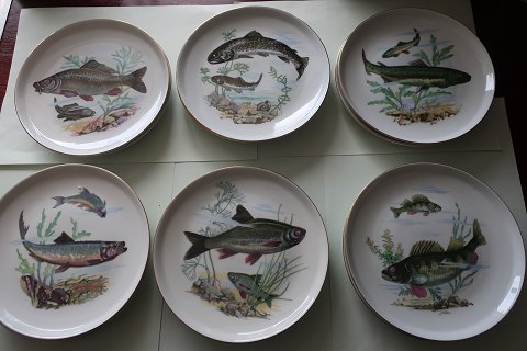 Vintage
Plates
1 set med 12 stk with 6 motives = 2 motiver of each
Diam: 17cm
Made in Germany - Colditz
In a good condition