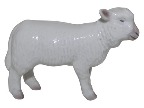 Other Animals<br>Royal ...