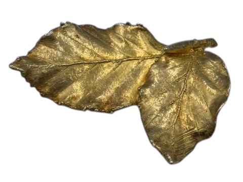 Flora Danica broche i forgyldt sterlingsølv