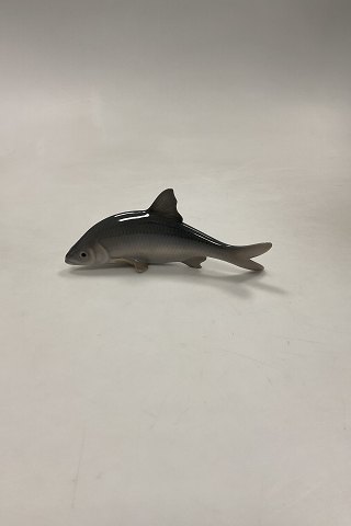 main