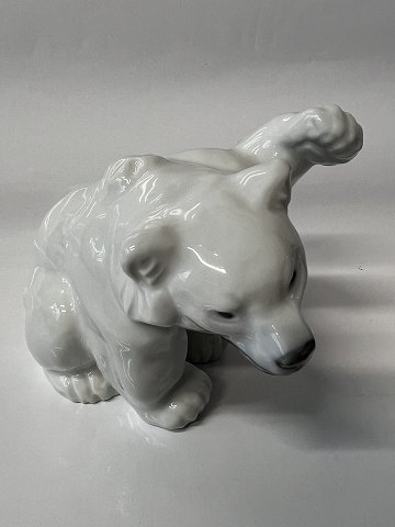 main