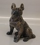 Rare Royal Copenhagen figurine 
0956 RC French Bulldog Designed by Knud Kyhn in 1908 Color: 1708 17.5 x 14 cm