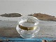 1800tals glas skrin i med guld dekoration
