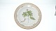 Royal Copenhagen Flora Danica Dinner Plate
Decoration number 20- # 3549
Motif: Anemone nemorosa L.
SOLD