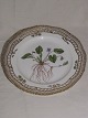 Flora Danica
Plate w. open-work border
Royal Copenhagen