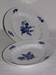 Blaue Blume Eckig
Oval Platte
Royal Copenhagen