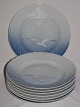 Seagull
Dinner plate
B & G