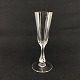 Clemens champagne glass
