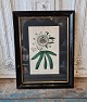 1800s hand-colored botanical print with passion flower in beautiful old black 
frame with narrow silver border.