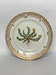 Flora Danica
Plate 14 cm.
Royal Copenhagen