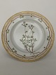 Flora Danica
Plate 25,5 cm. 
Royal Copenhagen