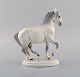 Jeanne Grut for Royal Copenhagen. Rare porcelain figure. Lippizan horse. Dated 1969-1974.