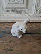 Royal Copenhagen figure Polar bear cub no. 233