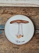 B&G Mushroom plate Lepista Nuda
No. 3518/949