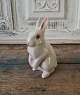 B&G figure, rabbit No. 2443