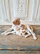 B&G figure - Pointer dog with puppies no. 2111
