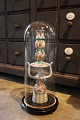 K&Co. 
præsenterer: 
Dekorativ 
, gammel 
cylinderformet 
fransk glas 
Dome / Globe 
på sort træ 
bund til ...