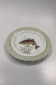 Danam Antik 
presents: 
Royal 
Copenhagen 
Green Dinner 
Fish Plate No 
919/1710 with 
Micropterus 
salmonides