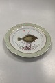 Royal Copenhagen Green Dinner Fish Plate No 919/1710 with Pleuronectes plattessa
